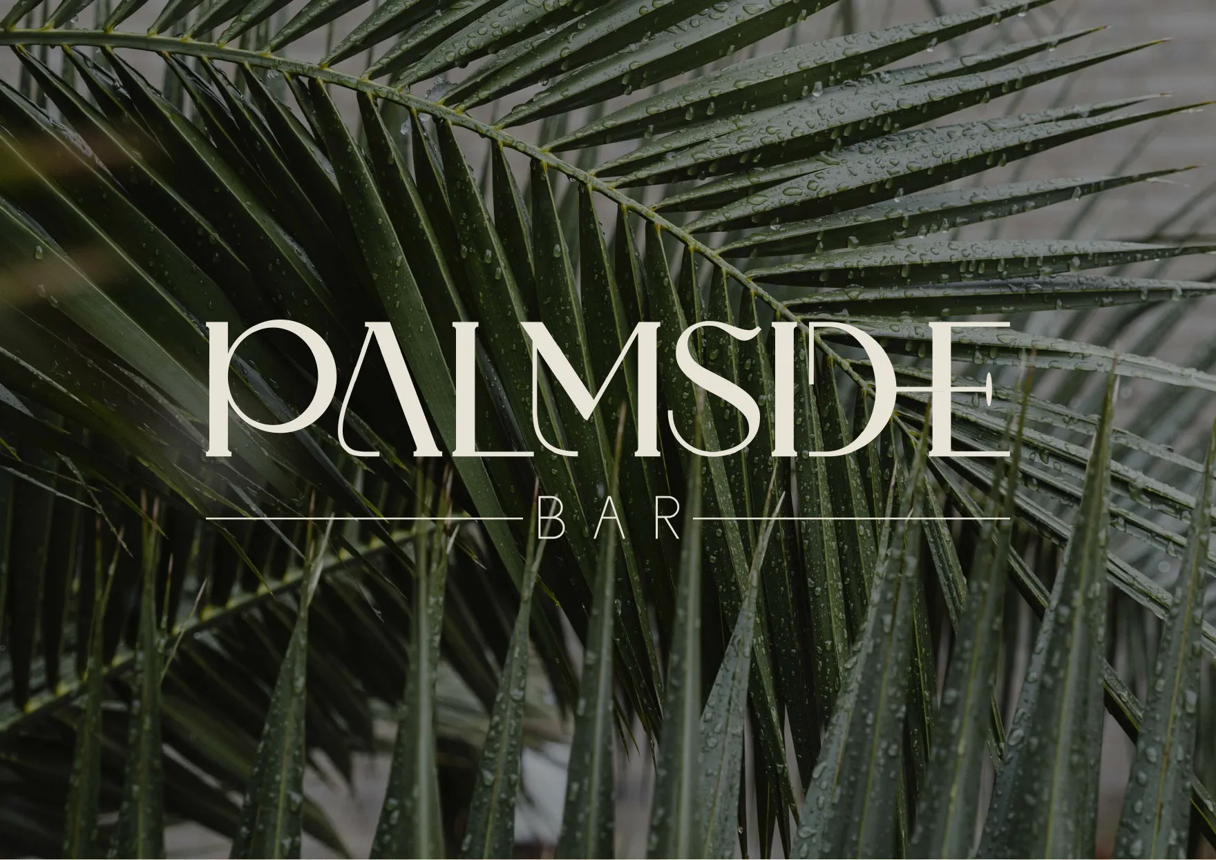 Palmside Bar(Beach)